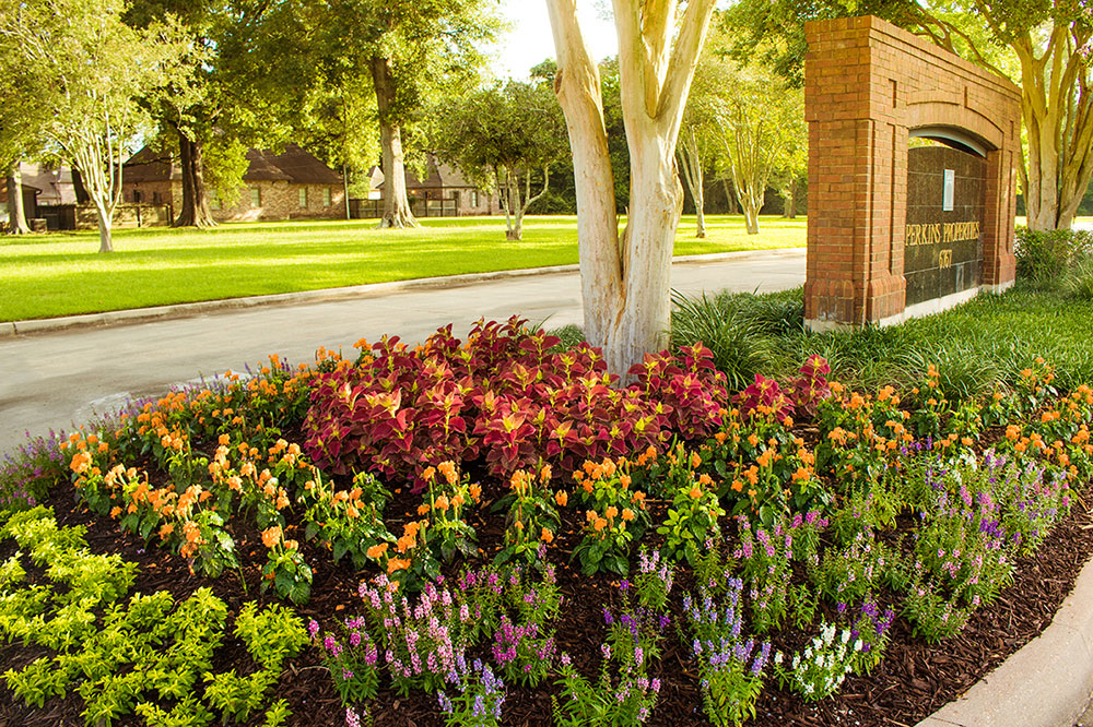 Landry's Landscape Portfolio